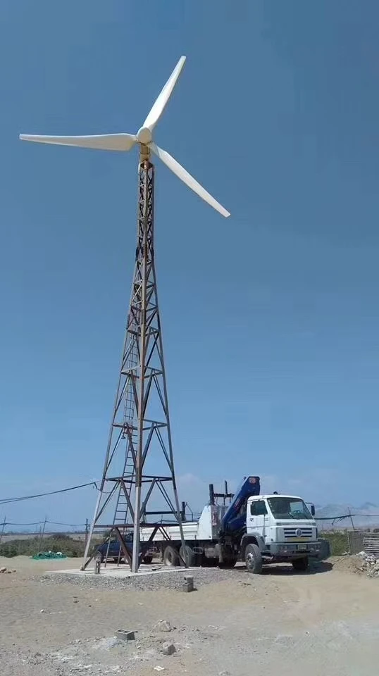 CE Poland Germany Ukraine Hot  - Renewable Energy Us 评论和价格